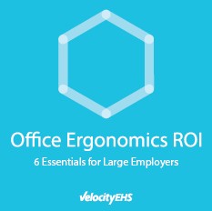 Office Ergonomics ROI - 6 Essentials for Large Employers